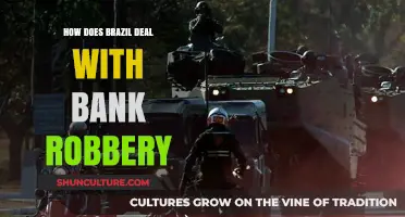 Brazil's Strategic Response to Bank Robberies: Tactics and Prevention Measures