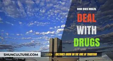Brazil's Drug Policies: Challenges, Strategies, and Societal Impacts Explored