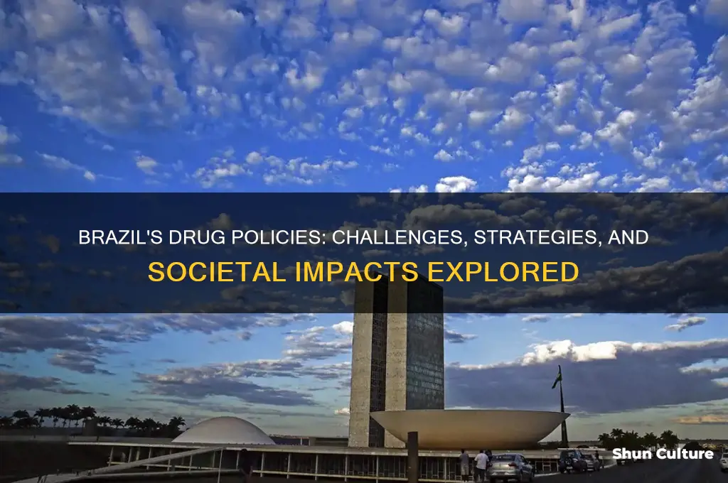 how does brazil deal with drugs
