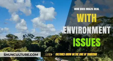 Brazil's Environmental Challenges: Strategies, Progress, and Future Sustainability Efforts