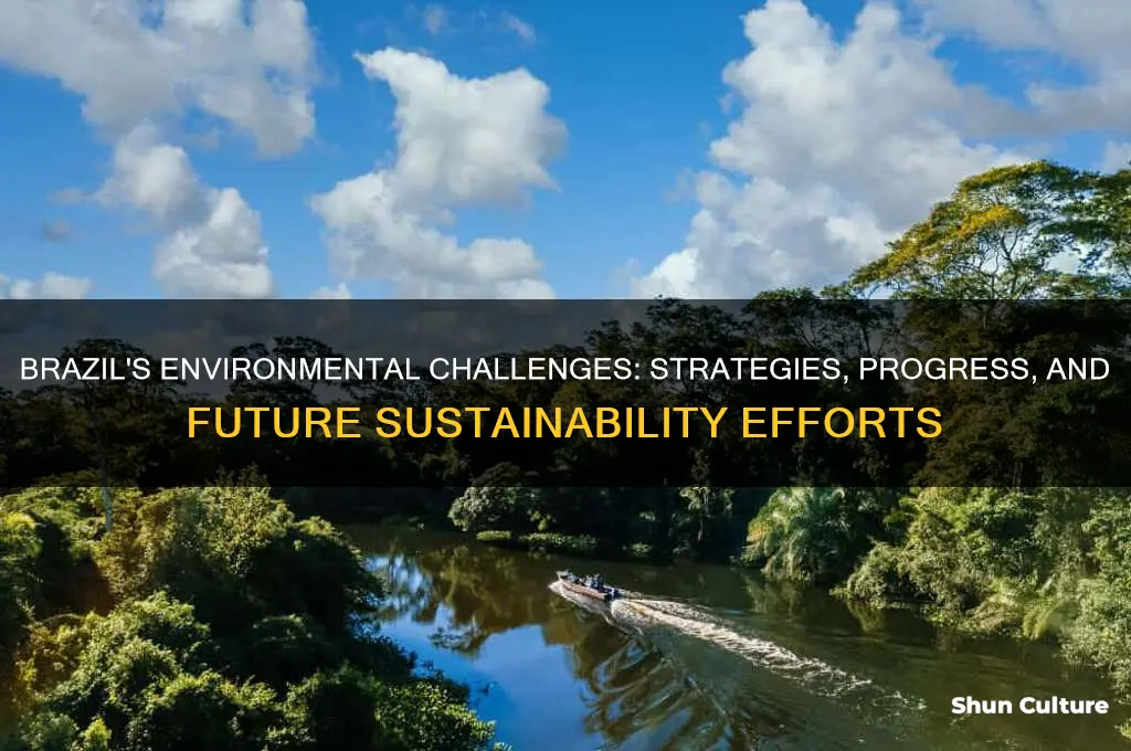 how does brazil deal with environmental issues