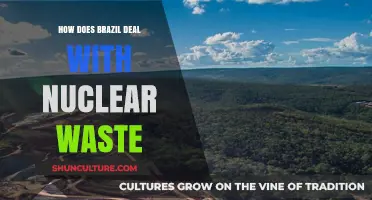 Brazil's Nuclear Waste Management: Strategies, Challenges, and Environmental Impact