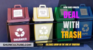 Brazil's Waste Management: Strategies, Challenges, and Sustainable Solutions Explored