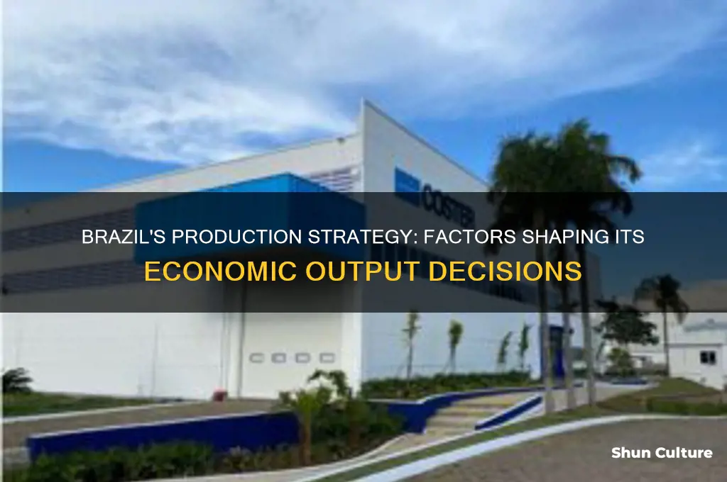 how does brazil decide what to produce