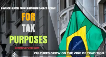 Understanding Brazil's Tax Rules: Defining Brazilian Source Income