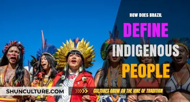 Brazil's Indigenous Identity: Legal, Cultural, and Historical Definitions Explored