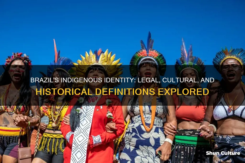 how does brazil define indigenous people