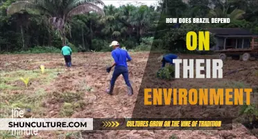 Brazil's Environmental Reliance: Sustaining Economy, Culture, and Biodiversity