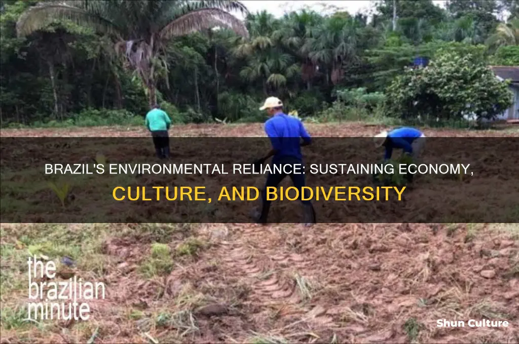 how does brazil depend on their environment