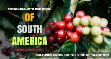 Brazil's Unique Identity: Contrasting Culture, Economy, and Geography in South America