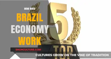 Understanding Brazil's Economy: Key Sectors, Challenges, and Growth Drivers
