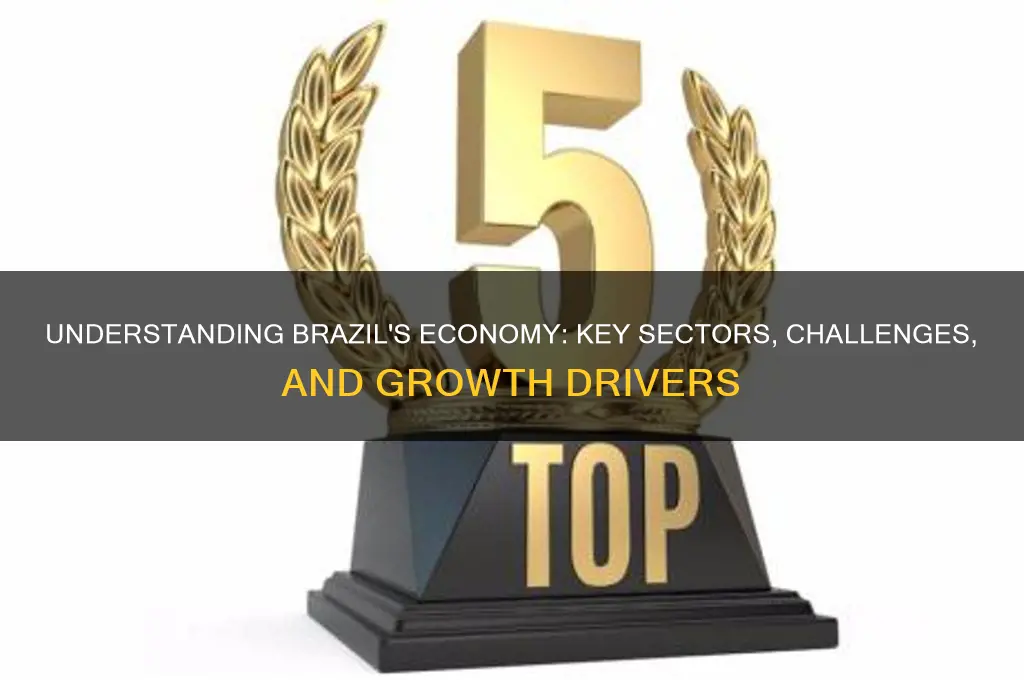 how does brazil economy work