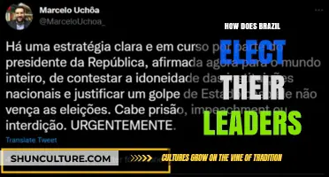 Understanding Brazil's Electoral System: How Leaders Are Chosen and Elected