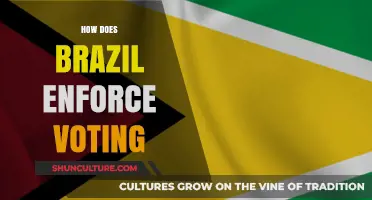 Brazil's Voting Enforcement: Compulsory Participation and Strict Penalties Explained