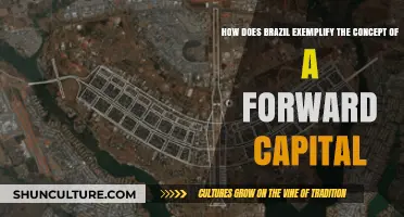 Brazil's Brasilia: A Visionary Forward Capital Shaping the Nation's Future