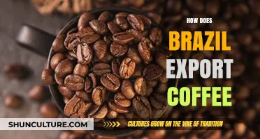 Brazil's Coffee Export Journey: From Farms to Global Cups