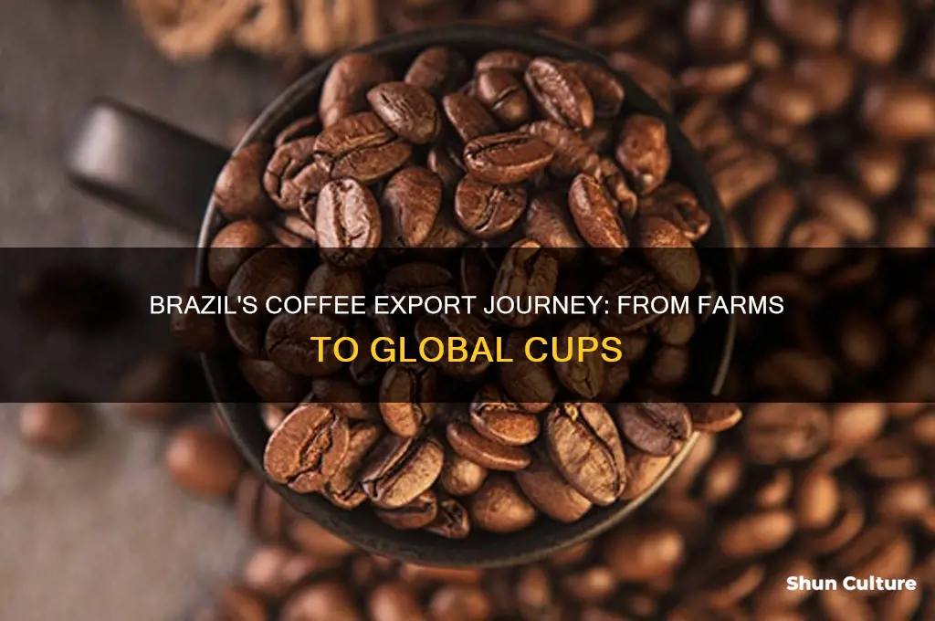 how does brazil export coffee