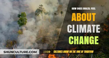 Brazil's Climate Change Stance: Concerns, Actions, and Public Sentiment