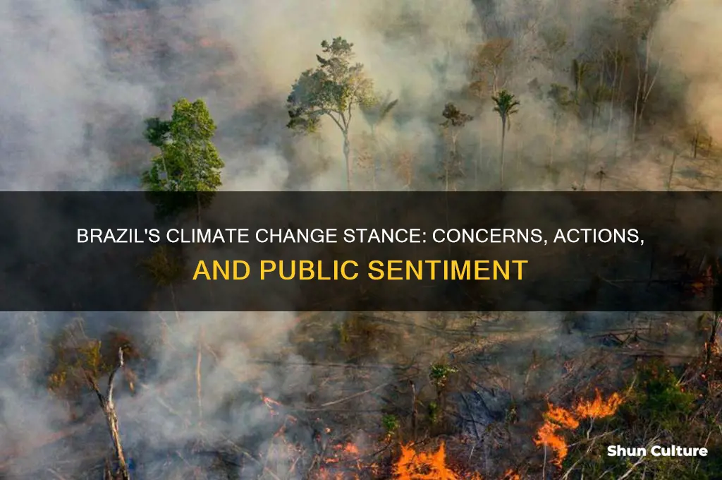 how does brazil feel about climate change
