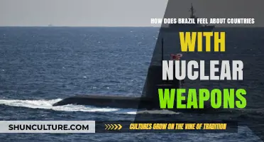 Brazil's Stance on Nuclear-Armed Nations: Perspectives and Global Implications