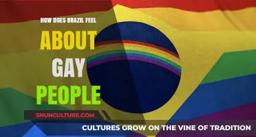 Brazil's LGBTQ+ Landscape: Acceptance, Challenges, and Cultural Shifts