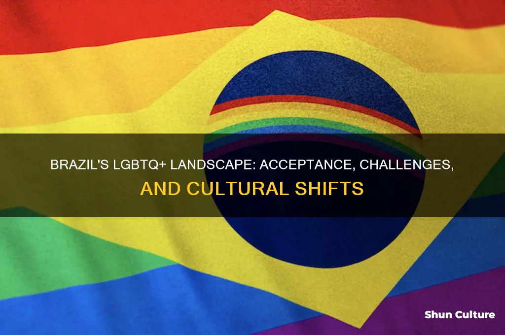how does brazil feel about gay people