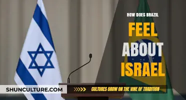 Brazil's Complex Relationship with Israel: Perspectives, Politics, and Public Opinion