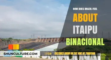 Brazil's Perspective on Itaipu Binacional: A Complex Energy Partnership