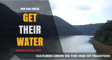 Brazil's Water Sources: Exploring the Country's Hydration and Supply Systems