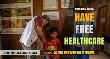 Brazil's Universal Healthcare System: How It Works and Why It's Free