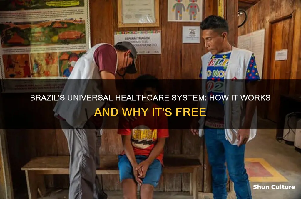 how does brazil have free healthcare