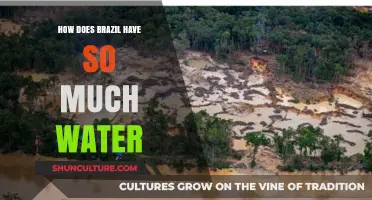 Brazil's Water Wealth: Exploring the Abundance of a Hydrological Giant