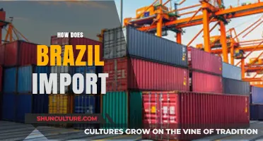 Brazil's Import Strategies: Key Processes, Partners, and Economic Impact