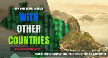 Brazil's Global Engagement: Diplomacy, Trade, and Cultural Exchange Insights