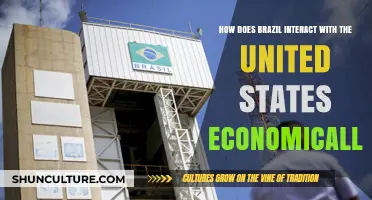 Brazil-US Economic Ties: Trade, Investment, and Strategic Partnerships