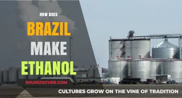 Brazil's Ethanol Production: Sugarcane to Fuel Process Explained