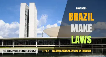 Understanding Brazil's Legislative Process: How Laws Are Made and Enacted