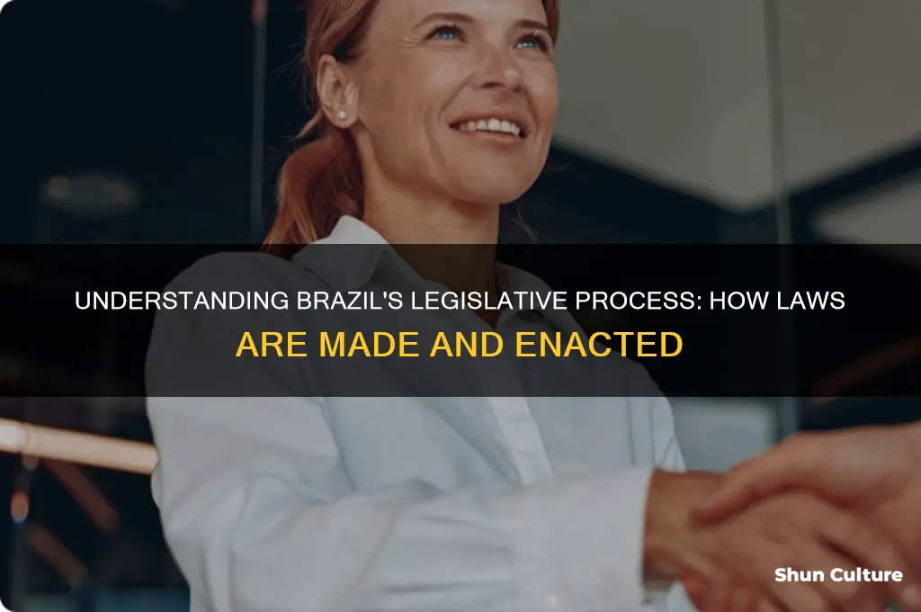 how does brazil make laws
