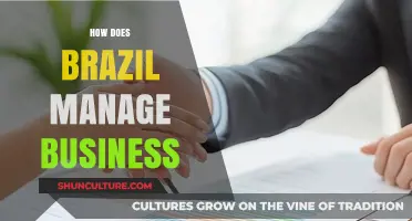 Brazil's Business Strategies: Navigating Culture, Economy, and Innovation for Success