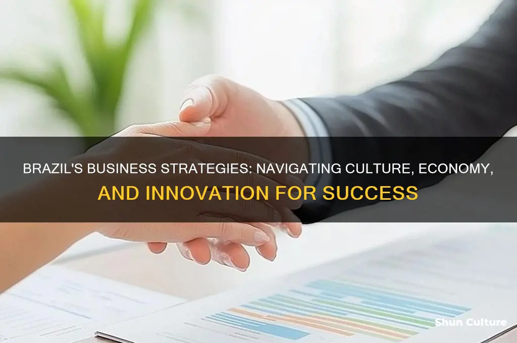 how does brazil manage business