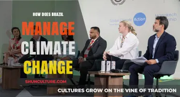 Brazil's Climate Change Strategies: Innovations, Challenges, and Sustainable Solutions