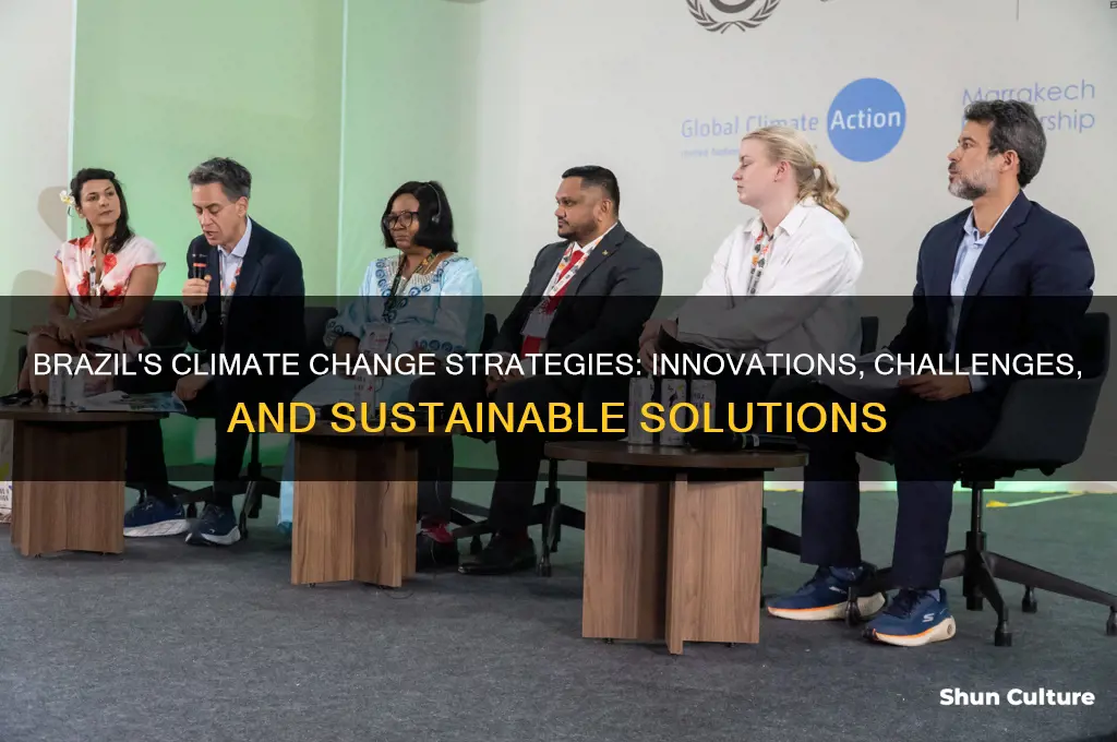 how does brazil manage climate change