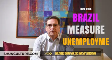 Understanding Brazil's Unemployment Measurement: Methods, Challenges, and Insights