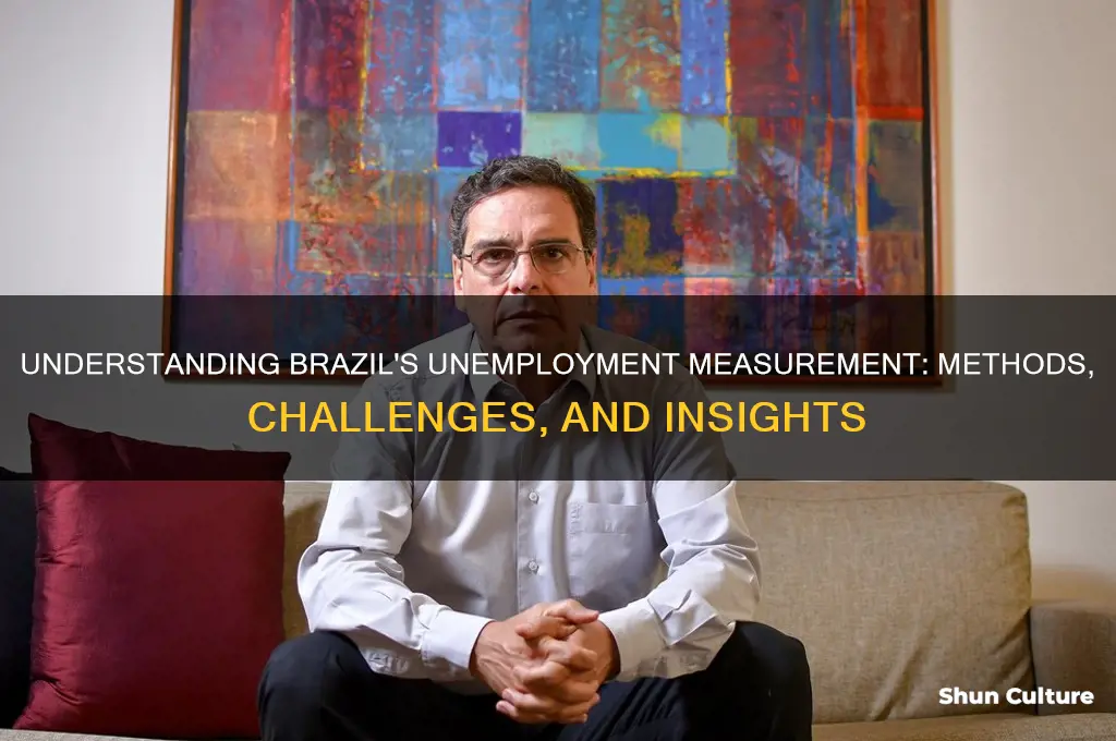 how does brazil measure unemployment