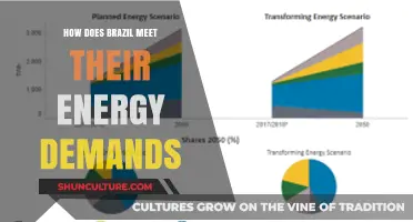 Brazil's Energy Mix: Meeting Demands Through Renewable and Fossil Sources