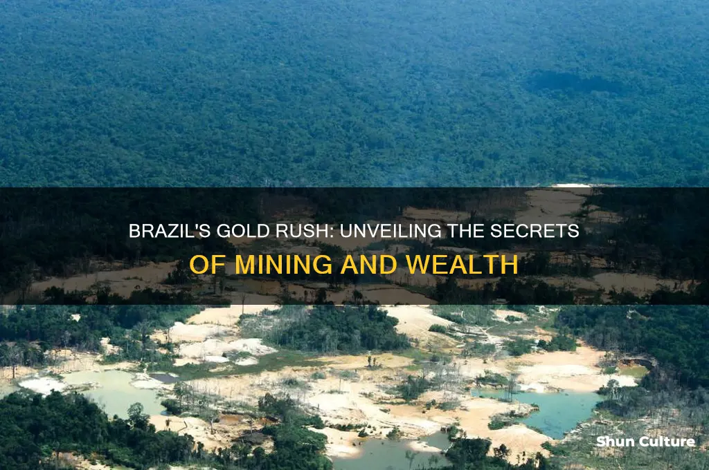 how does brazil mind gold