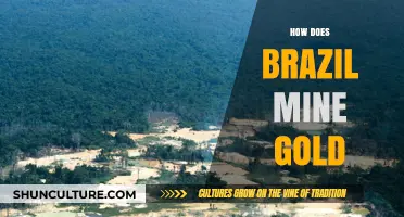 Brazil's Gold Mining: Techniques, Challenges, and Environmental Impact Explained