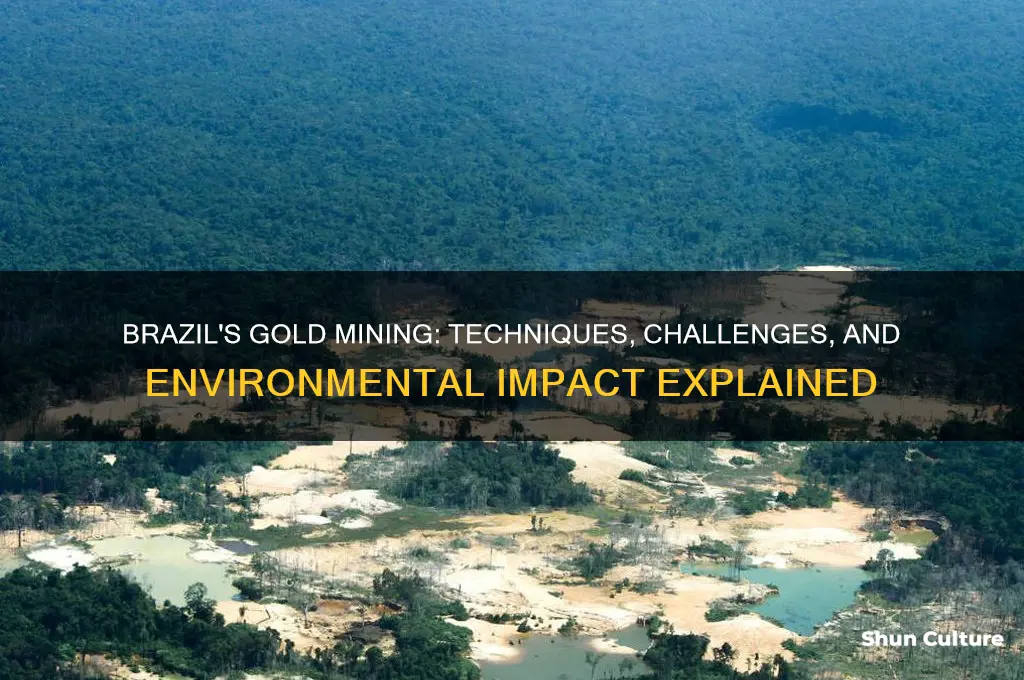 how does brazil mine gold