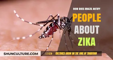 Brazil's Zika Alert System: Communication Strategies and Public Awareness