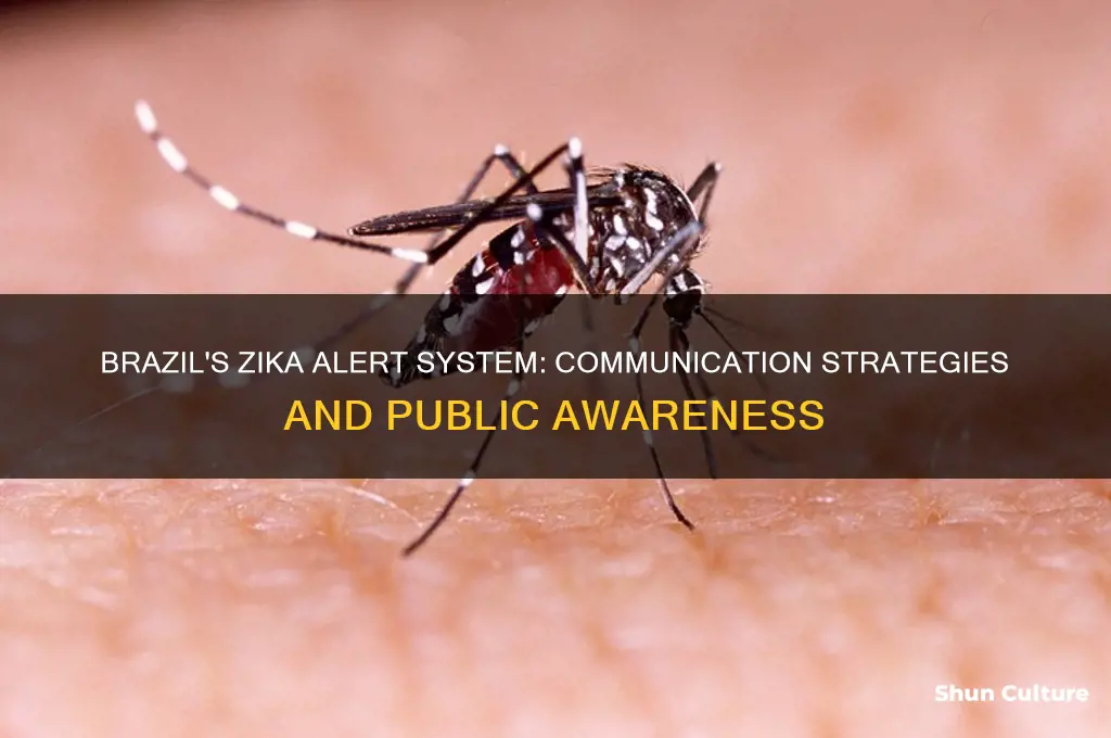 how does brazil notify people about zika